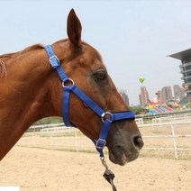 승마 안장 패드 장갑 장화 바지조정 가능한 나일론 웨빙 서부 말 고삐 headstall 6mm, 블랙엠