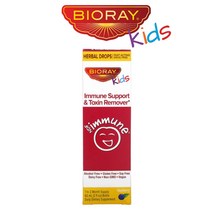 Bioray 바이오레이 키즈 어린이 이뮨 허브 과일 농축액 블루베리맛 NDF Immun 60ml, 1개