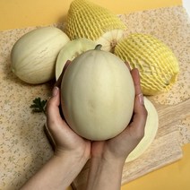 달달 아삭 고당도 설향 메론 경북고령 특산물 성산메론 맛있는 멜론 5kg 6-10과