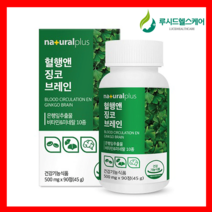 내츄럴플러스 - 혈행앤 징코 브레인 500mg x 90정