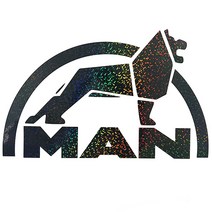 마이웨이카 만트럭 MAN 사자 로고 데칼 튜닝 홀로그램 대형 덤프 트럭 스티커, 좌측