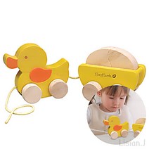 끌고 다니는 엄마 오리 유아 집콕 놀이 23개월 장난감 2살 아기 장난감