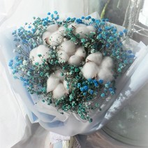 목화꽃다발, 블루다발