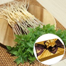 장보리 전남 무안 수경재배 새싹삼 선물세트 중 50뿌리, 기본상품, 단품없음