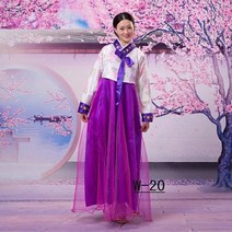 61 의상 전통 한복 여성의 궁정 드레스 대장진 한국 민속 무용 성인 쇼 한국 의상