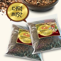 고씨네농장 더덕씨300g 더덕씨 도라지씨 더덕씨앗, K상품더덕씨 300gKK