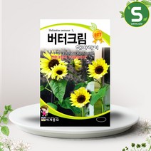 솔림텃밭몰 해바라기씨앗 10립 버터크림 꽃씨앗 꽃씨 연크림색