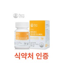 팜엔탑 비타민C 인디안구스베리 60정 피로회복 유기농 온가족 영양제 식물성 항산화 영양소 섭취 임산부 활력 신의 열매 성장기 청소년 수업생 직장인 온가족 비타민c, 60캡슐X13개