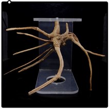 D타입/가지유목/천유세트형/장식유목/크레스티드게코/다트프로그/나무위성타란튤라 유목