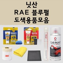 닛산 RAE 블루펄 주문 펄 (2개세트) 자동차 붓펜 카페인트 도색 스프레이 퍼티 컴파운드 차량용, 닛산:세차타월