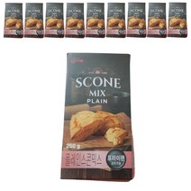 스콘믹스 플레인250g브레드가든10팩, 단품