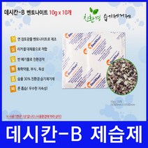 가방제습제 벤토나이트 10g 10개 - 데시칸-B 친환경