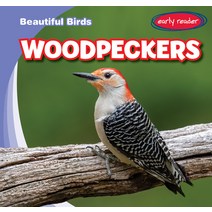 (영문도서) Woodpeckers Paperback, Gareth Stevens Publishing, English, 9781538275313