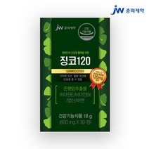 JW중외제약 징코120 600mg 30정, 1개