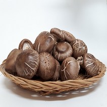 산지직송 무농약 생표고버섯 못난이 5kg. 못난이 10kg 대용량표고버섯 급식용 식당용 건조용 가루용 양 많은 표고버섯, 향신 10kg, 1개