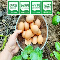 자연방사 동물복지 무항생제 토종닭 유정란 왕란 유기농 난각번호1번 계란 달걀 20구