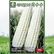 씨앗 해피찰3호흰찰옥수수(70립) (H2072)