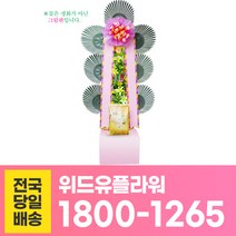 위드유플라워 축하화환 전국당일배송 축하 쌀화환 10Kg C037