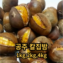 국내산 공주 칼질밤 칼집약단밤 공주햇밤 공주알밤 대사이즈1kg 2kg 4kg, 대사이즈 1kg