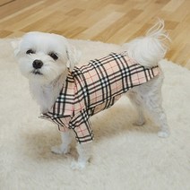 꼬미하우스 강아지 남방 명품 셔츠 체크티 사계절옷, 네이비