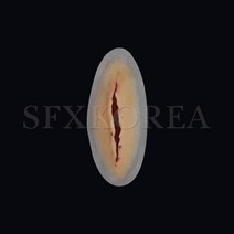 SFX.자가점착 외상피부 병원 경찰 군부대 응급처치 훈련교재 상처치료훈련 시뮬레이션 연습키트, 6.SFX.외상피부_열상(직선형, 소)