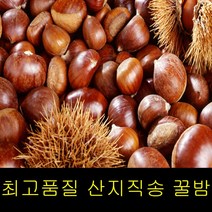 고씨네 특급 햇밤 군밤 맛밤 2KG 공주햇밤 밤 밤효능, 특급 햇밤 2kg