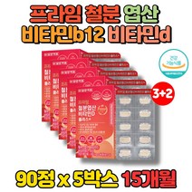 약국 아이 키즈 초등학생 중학생 고3 수험생 청소년 20대 30대 40대 남자 남성 노인 철분제 엽산 비타민d 비타민B12 구리 철분보충, 5박스
