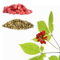 산양삼 1kg 인삼종자 장뇌삼 씨앗 인삼씨앗 재배용 인삼씨 모종, 단품