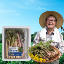 먹사부 당일수확 국내산 땅두릅 참두릅 나물 두릎 두룹 강원도 봄나물 300g 500g 1kg, (선택1) 땅두릅 100g