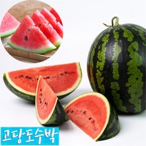 함안수박 하우스 꿀수박 4kg 5kg 고당도 4월 제철 주스용 수박 산지직송, 수박 4kg내외, 1개