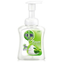 데톨 포밍 항균 핸드 워시 애플 블라섬 250ml, 상세페이지 참조, 상세페이지 참조, 상세페이지 참조