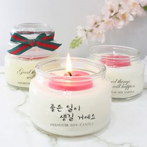 꿈을주는 향기 핸드메이드 소이캔들 잡냄새제거 향초 250ml, 향초 3개 set