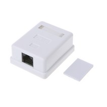 CAT6 RJ45 END END CAT6 RJ45 커넥터 이더넷 케이블 커넥터 UTP 네트워크 플러그