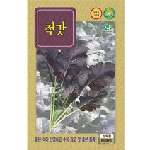 적갓 씨앗 6000립, 적갓  6000립, 1개