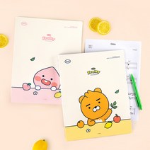 카카오프렌즈 프루티 클리어 파일 화일 40p, 어피치
