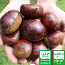 2023년 공주 정안밤 대 특 2kg 4kg 공주밤 알밤 햇밤 산지직송 GAP인증, 공주 정안밤 특 2kg, 1개
