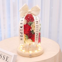 미니화환 스페셜데이 유리돔 개업 승진 축하 이사 부모님 생신 선물, 레드카네이션미니화환유리돔, 4번문구