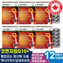 COQ10 70대 남성남자 심장에좋은 상체하체혈액혈관 노년 혈압이높은이유 여성여자 은퇴선물 코엔자임Q10플러스 혈행건강 코큐텐11 혈압높을때증상 중년 큐10 부모님 만성피로 할머니