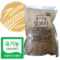 국산 유기농 새싹 겉보리 새싹보리 씨앗 집에서 키우기 보리새싹 수경 재배 보리차용 색싹보리 보리 보리싹 것보리 캣그라스 고양이 먹이 보리알 재배용 세싹, 유기농 겉보리 1kg 1개