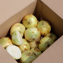 항채원 달큰아삭 신선한 국내산 햇양파 특대(350g이상) 당일선별 망포장 오늘출발, 1개, 대1.5kg