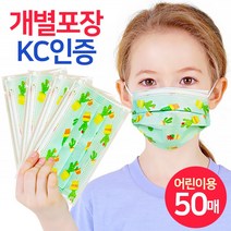 케이에스몰 어린이마스크 CD09 선인장민트 (50매) 유아동마스크 3D입체마스크 비말마스크 소형마스크 덴탈마스크 키즈마스크, 50매