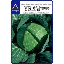 아시아종묘 양배추씨앗 YR호남 양배추 (500립), 1개
