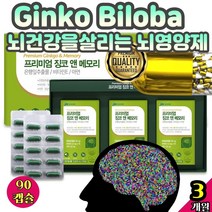 중외제약 Ginko Biloba 뇌건강을살리는 뇌영양제 플라보놀배당체 혈관건강식품 기억력 개선 향상 증진 수능선물 항산화 수험생집중력 빌로발라이드 징코추출물 뇌운동 아차차 90정