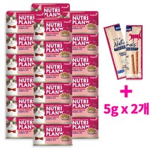 동원캔 뉴트리플랜 고양이캔 160gx24개(1BOX) +네츄럴스틱5gx2개, 24개입(1BOX), 흰살참치와 연어+네츄럴스틱5gx2개