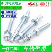 앙카 아연도금 도마뱀 차 너트 래핑 엘리베이터 전용 팽창 볼트 M8M10M20 2526127437, 12 *150 (2커버 )