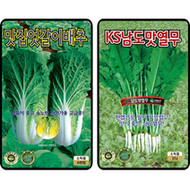 맛집엇갈이배추씨앗 남도열무씨앗 속노란배추와 맛있는 남도열무 KS종묘, 3 맛집엇갈이+남도열무