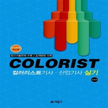 컬러리스트 기사 산업기사 실기(2014):최근기출문제 수록 조색방법 수록, 예문사