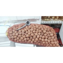 호두(토종호두) 3kg, 1상자