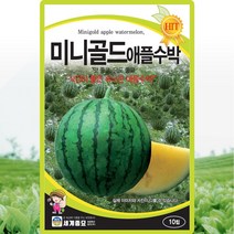 미니골드 애플수박 씨앗 수박 씨 종자 10립, 단품