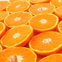 올탑농원 23년 고당도 햇하우스감귤 1.5kg 가정용, 하우스감귤 1.5kg 중과